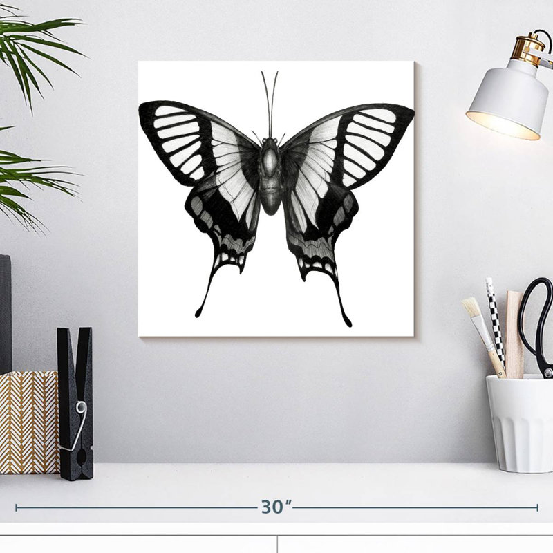 Crowle Butterfly Wings, 16" H x 16" W
