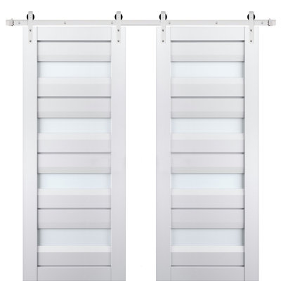 Portes de grange en bois givré Veregio
