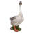 Goose Statue