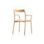 Branca Solid Arm Chair-65088334