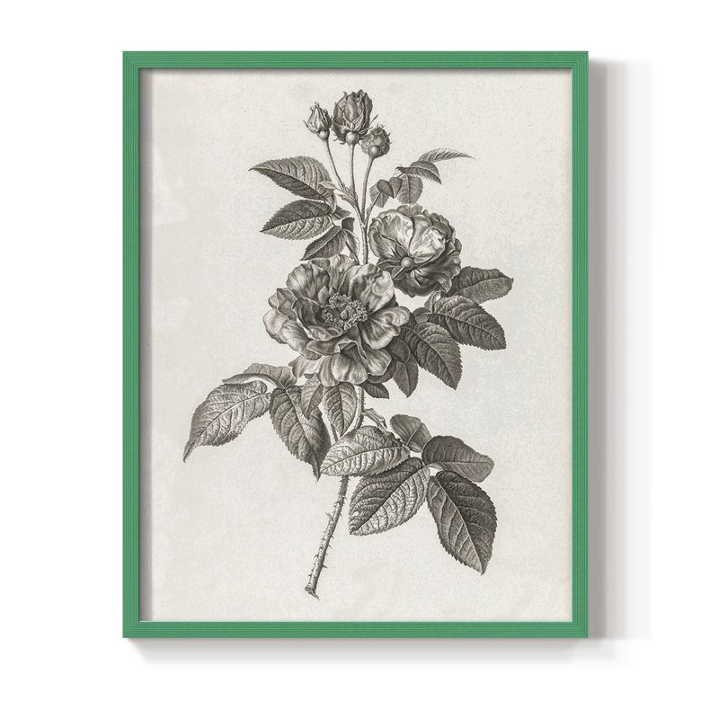 Impression florale vintage encadrée CECXVI - bois massif, H 15 po x l 12 po, Vert