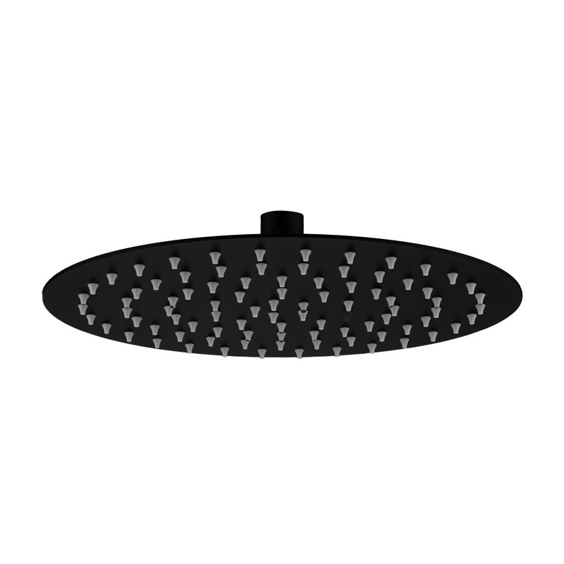 Pomme de douche 12 "en acier inoxydable 304, Noir mat, Rond