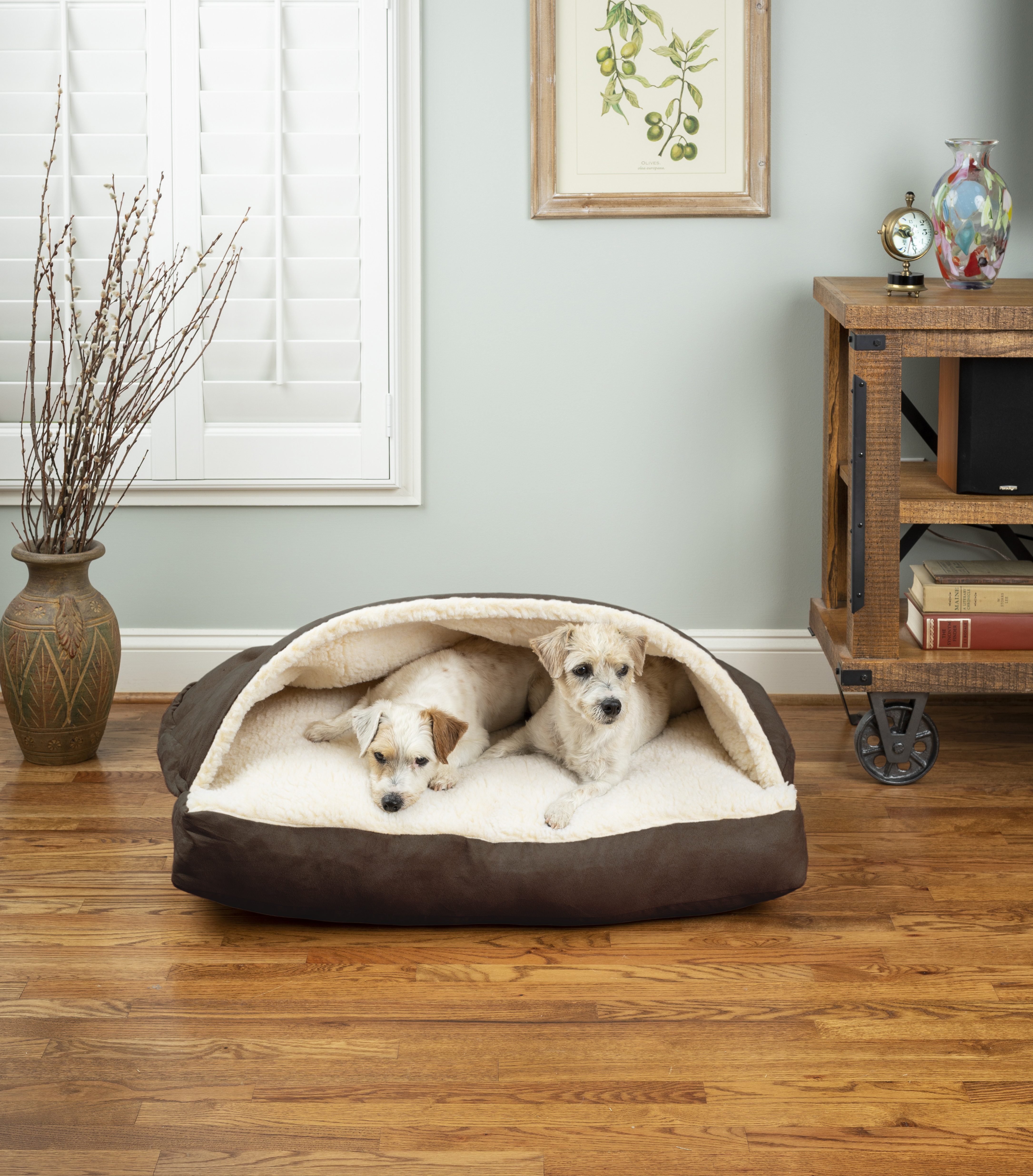 Should you put a bed in your dog's crate? - Snoozer Pet Products