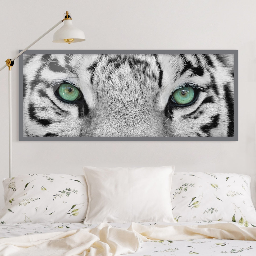 Gerahmter Fotodruck White Tiger