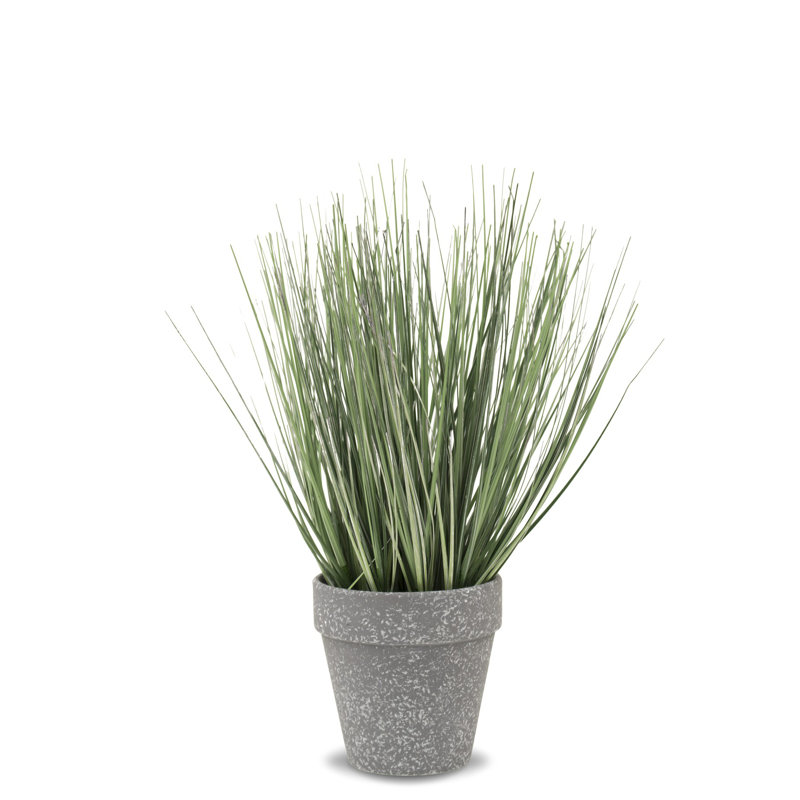 Faux Evergreen Grass in Pot, 26cm H x 20cm W x 20cm D