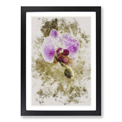 Orchid Flowers Vol.6 - Picture Frame Painting