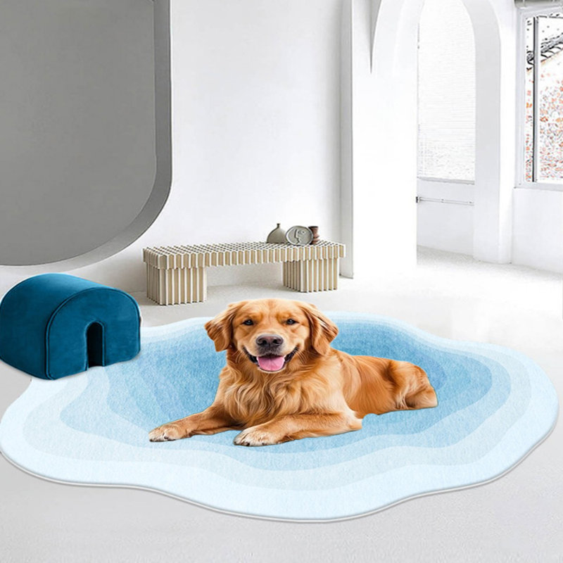 Alien Rugs，Cashmere Imitation Irregular Carpet Soft Fluffy Plush Anti-Slip Design Rugs Use for Living Room Bedroom Kitchen Entrance Floor Mat