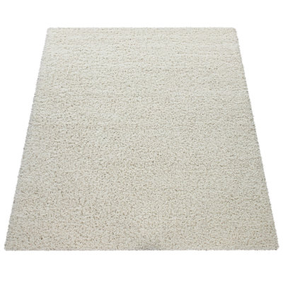 Epperson Solid Colour Shag Area Rug