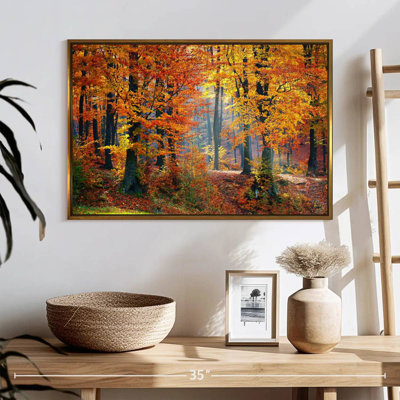 Arbres d'automne