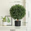 60 cm H Faux Plant