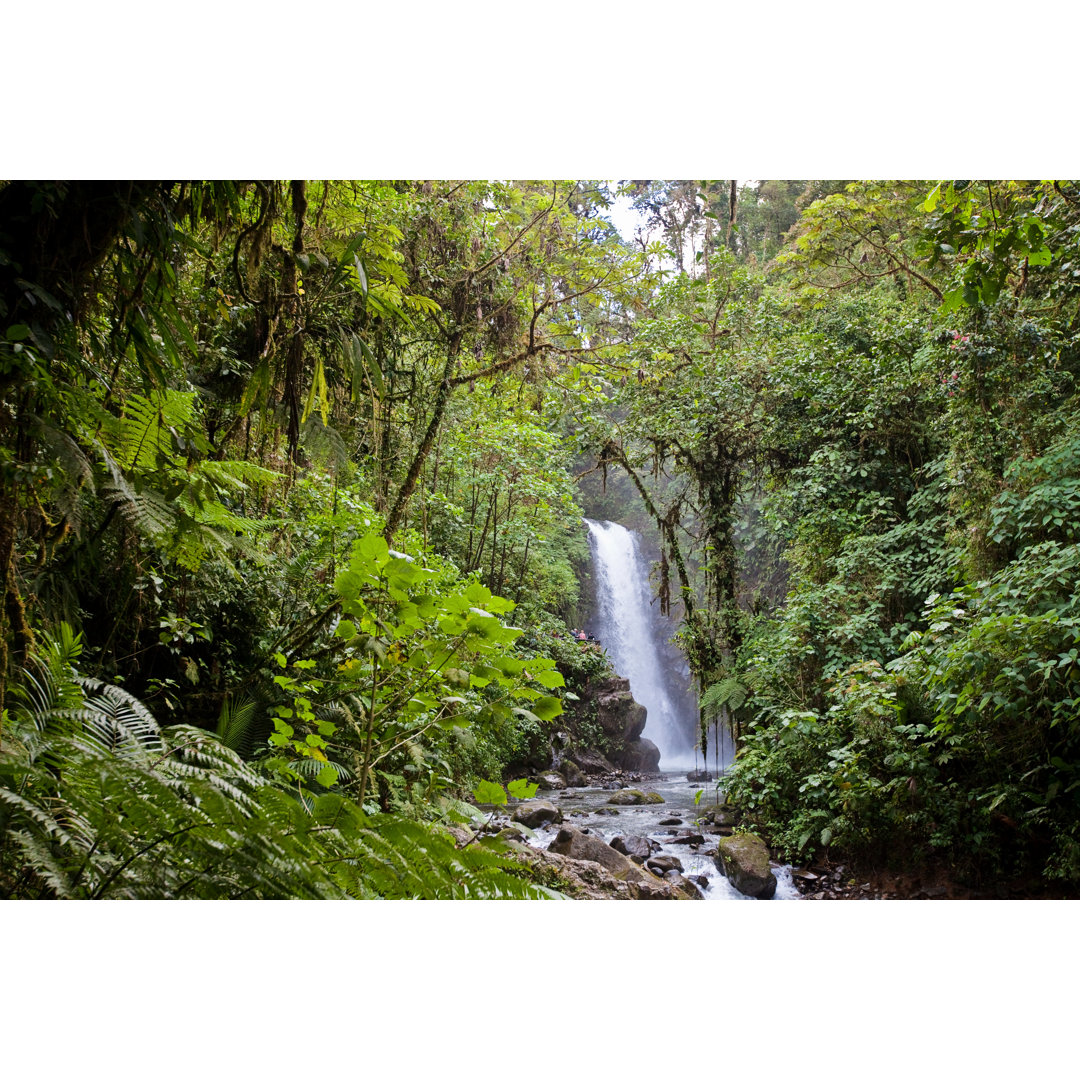 La Paz Wasserfall von Christa Boaz - Kunstdrucke auf Leinwand ohne Rahmen