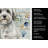 White with Gray Coton de Tulear Coastal Sea Glass Kitchen Towel-871464184