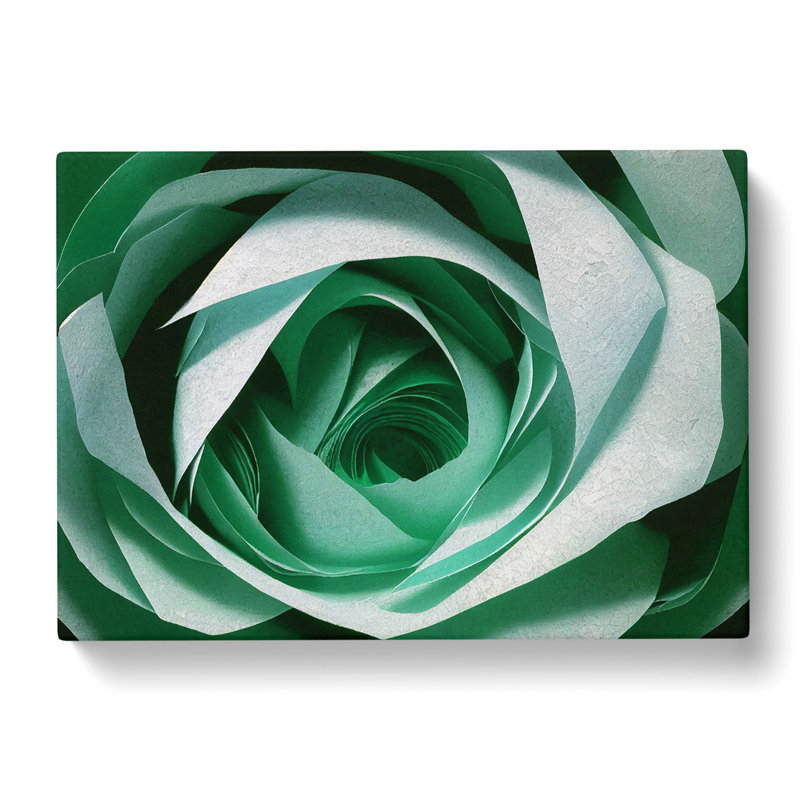 Glorious Rose Flower - Wrapped Canvas, 35cm H x 50cm W x 3cm D