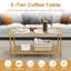 Coffee Table with Storage