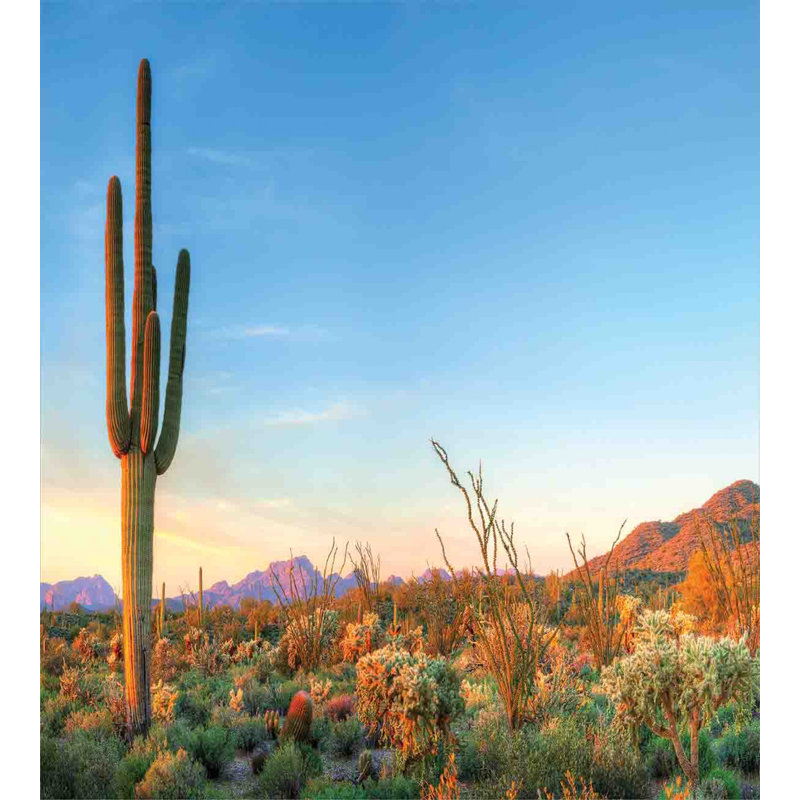Saguaro Desert Sunset Queen Duvet Cover Set with Pillow Shams