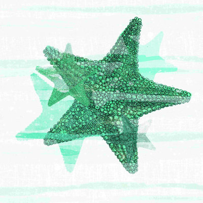 Étoile de mer bleue 2