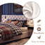 Ottoman Bed-135708521