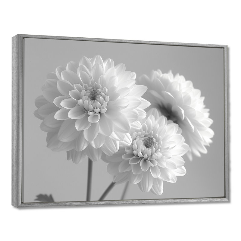 Monochromes blanc noir maman botanique beauté II - décoration murale mamans, H 12 po x l 20 po, Cadre photo noir
