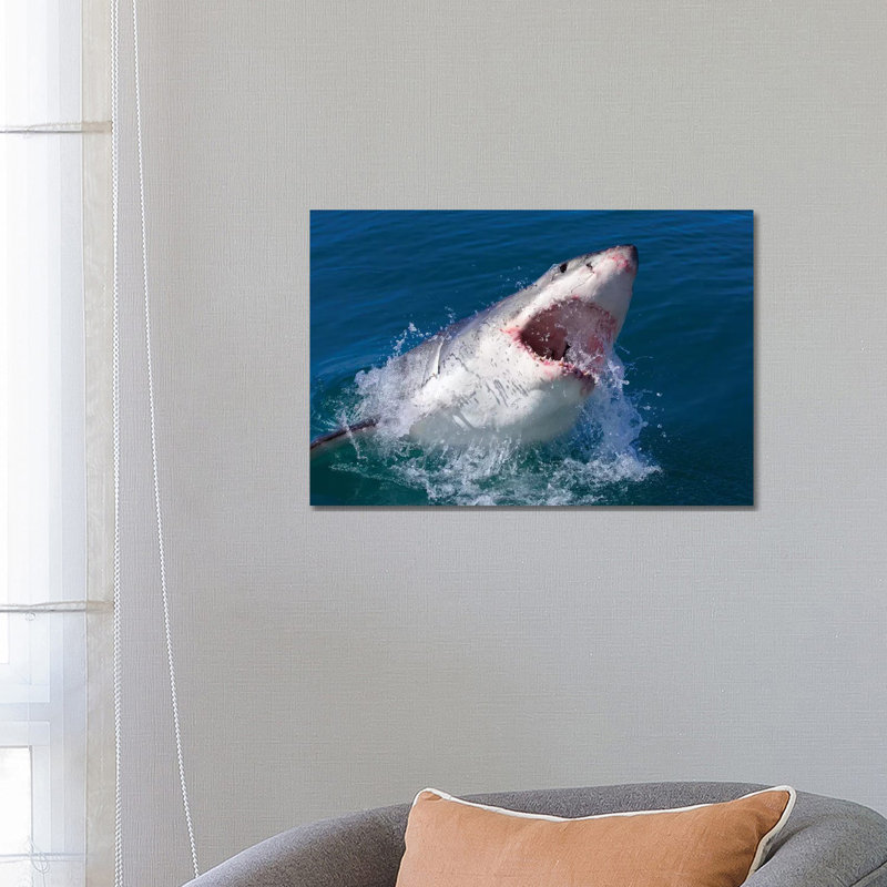 Great White Shark by Mogens Trolle - Wrapped Canvas Print, 66.04 cm H x 45.72 cm W x 3.175 cm D