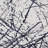 Artemis Artemis area rug Machine Woven Rectangle Blue-93557150
