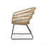 TERRY CHAIR,2PCS With 2 Cushions-960710650-960710649