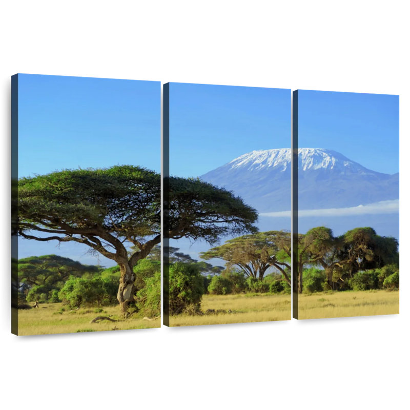 Harnek Kilimanjaro, H 36 po x l 57 po