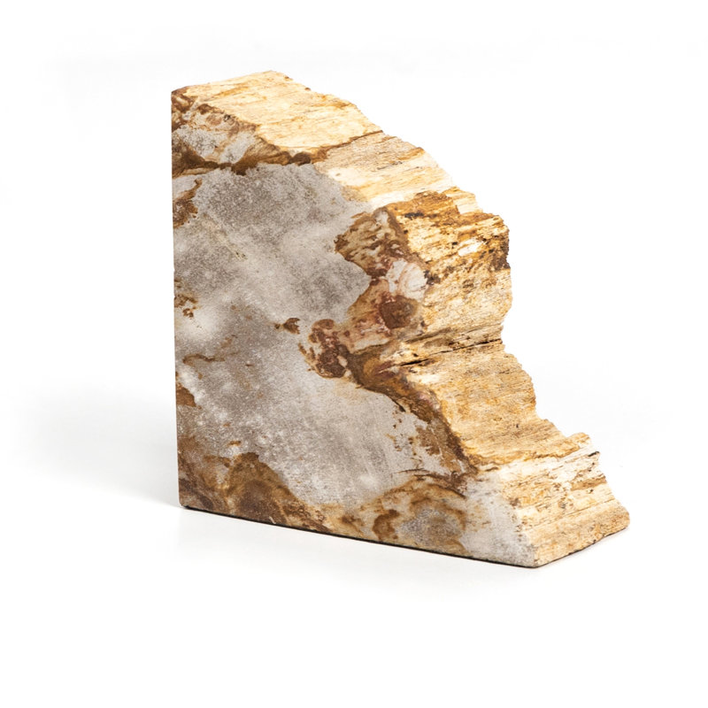 Petrified 2 Piece Wood Book End Set