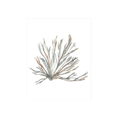 Water Colored Seaweed V Print by Guseul Park