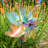 Iridescent Pinwheel Spinner-93794985