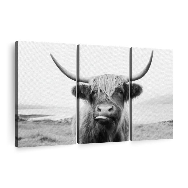 «Funny Highland Cow», reproduction d'art sur toile, H 48 po x l 74 po x P 1,25 po
