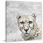 Wrapped Canvas Painting-374296760