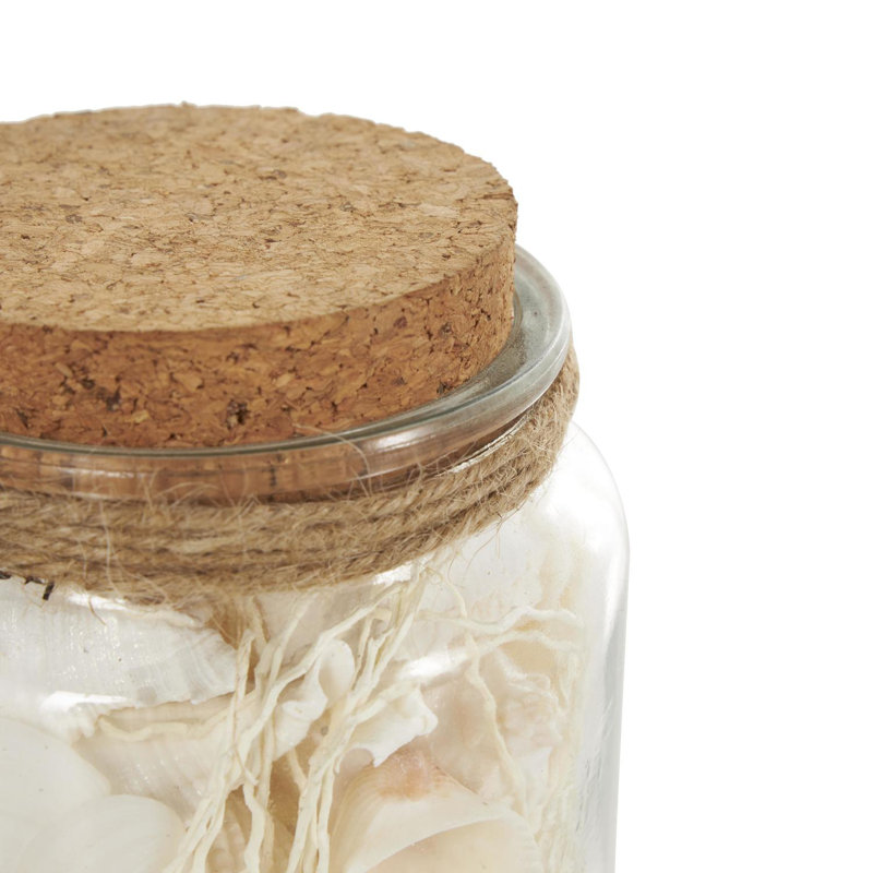 Highland Dunes Glass Orbs & Vase Filler With Various Cream And Brown Seashells And Jute Rope Accents