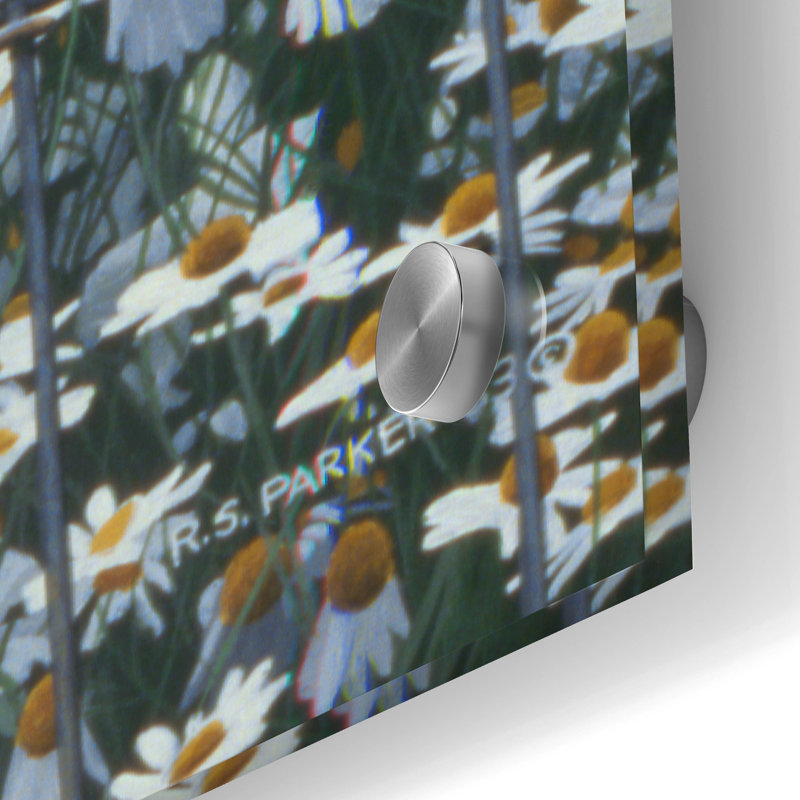 Latitude Run® «House Sparrow & Daises» par Ron Parker, verre acrylique Wal Art, H 48 po x l 24 po
