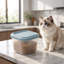 Mini contenant en silicone pour aliments pour animaux de compagnie compatible avec les micro-ondes et les congélateurs, 3,27 x 3,27 x 2,48 po, bleu-131407819