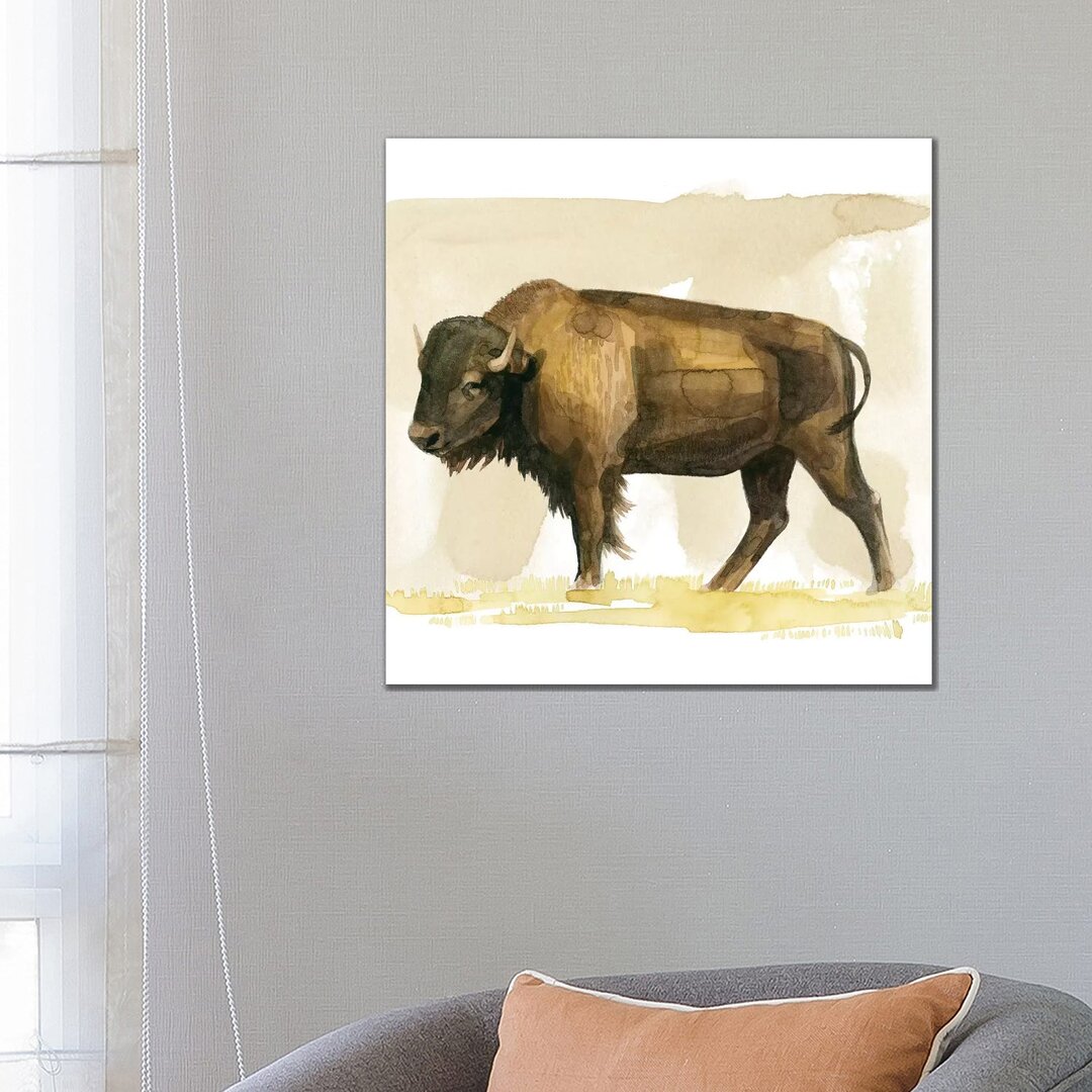 Bison Aquarell Skizze II