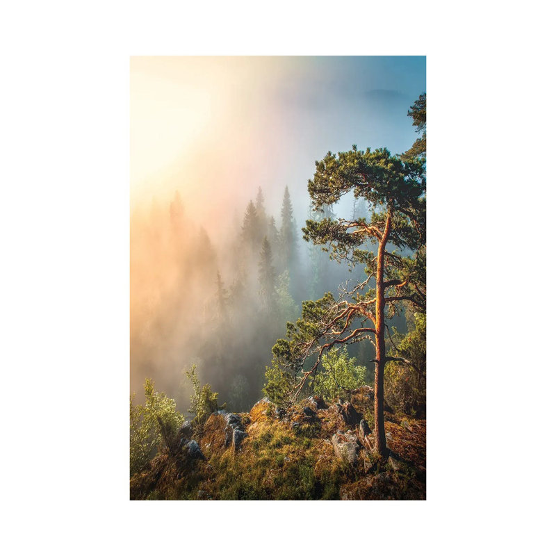 Morning Haze by Lauri Lohi - Wrapped Canvas Print, 66.04 cm H x 45.72 cm W x 1.91 cm D