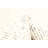 Sienna Cream Rug 5'2" x 7'6"