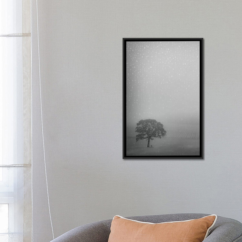 «Lone Oak in the Rain», impression sur toile, H 26 po x l 18 po x P 1,5 po, Toile avec cadre noir