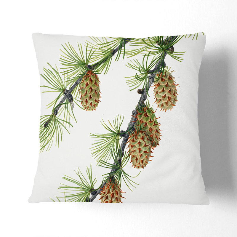 Western Larch Scatter Cushion, 55cm H x 55cm W x 20cm D