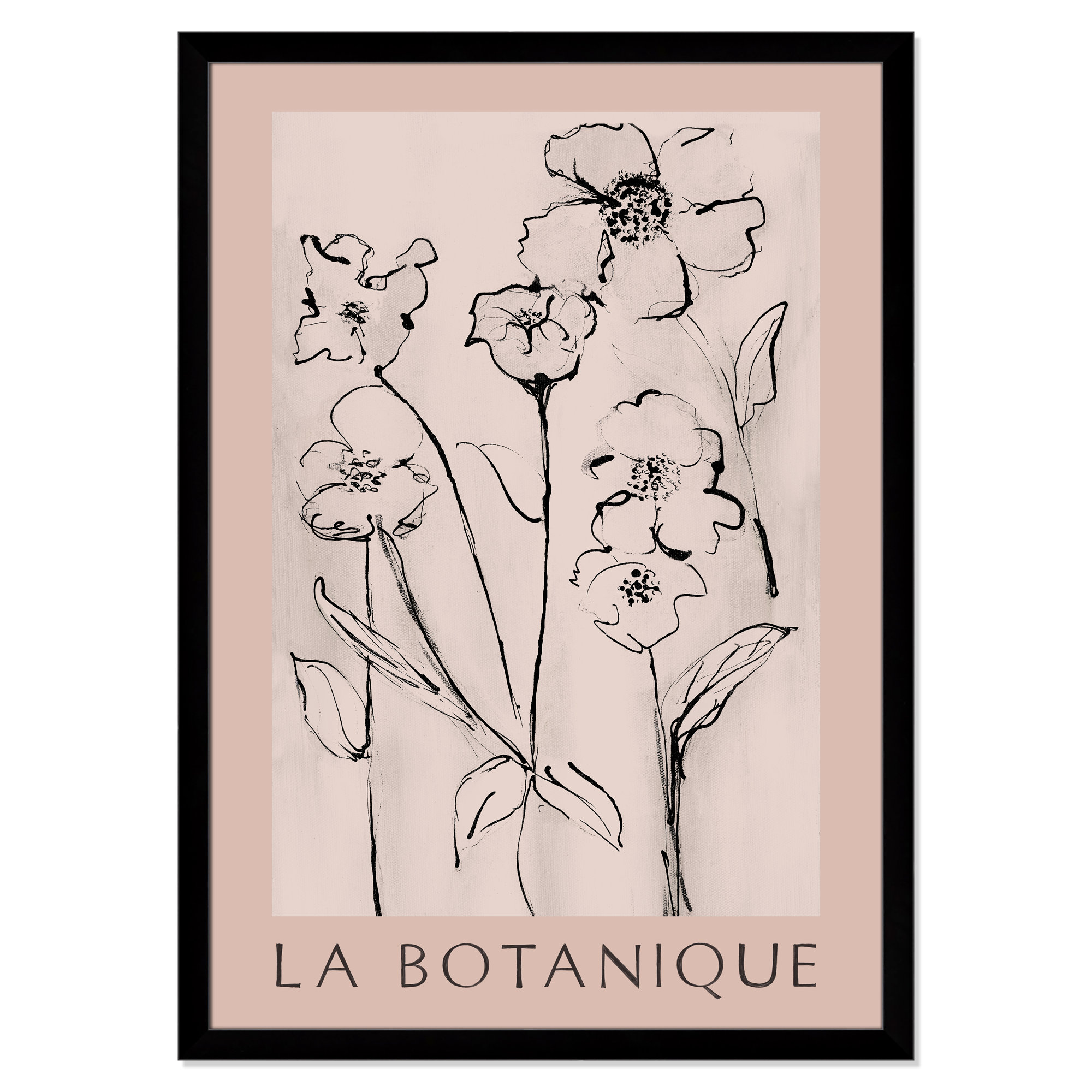 Botanical Poster Collection " La Botanique " by Susan Jill, 49" H x 35" W x 1.25" D, Black Single Picture Frame, No