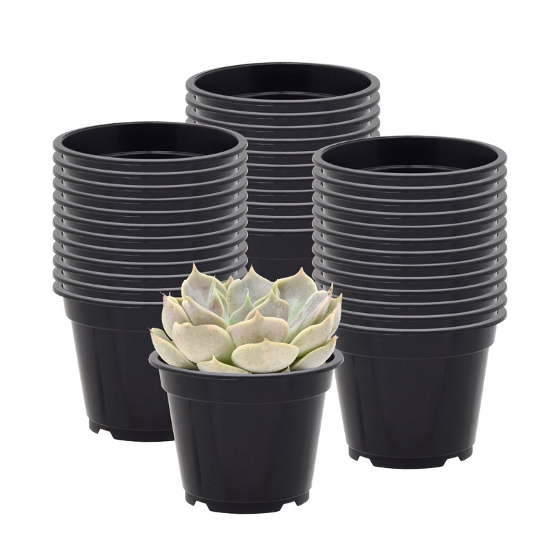 Ensemble de casseroles en plastique Kounain, 100, H 2,38 po x l 3,13 po x P 3,13 po