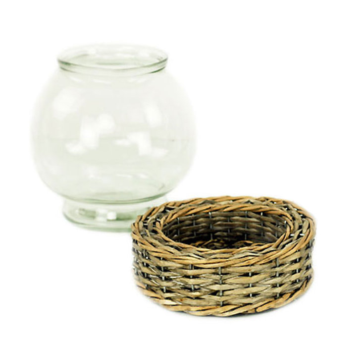 Terrarium à mèche et à verre Blevens, H 7,5 po x l 7 po x P 7 po