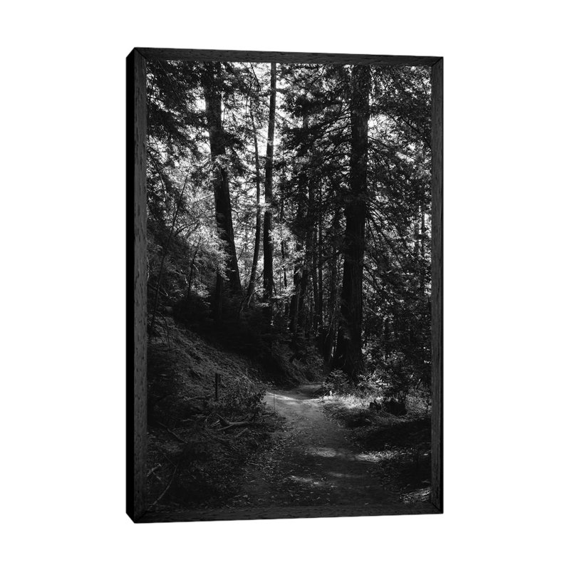 Big Sur Hike by Bethany Young - Print on Canvas, 66.04cm H x 45.72cm W x 3.81cm D, Black Framed
