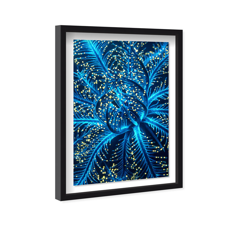Neon Bloom Print by Oliver Gal, 25.5"H x 17.5"W, Black Shadowbox