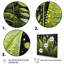 Ferns Plant Graceful Curves II - Floral Wall Decor-1286633099-1286633100