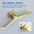 Shower System-105702272
