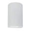 Ambiance Collection™ LED Outdoor Flush Mount-1711879541