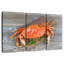 Crabe dormeur cuit-2040126191