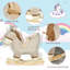 EvoNet Toy