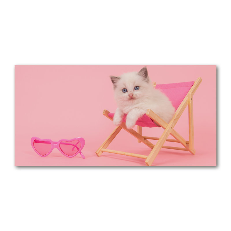 Cat on a Deckchair 1 Piece Wrapped Canvas Wall Art